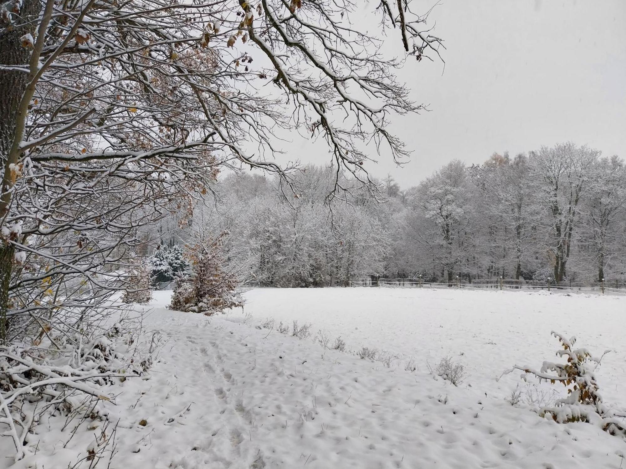 Landhotel Waldschloesschen Mit Gaststube Sohland an der Spree Esterno foto